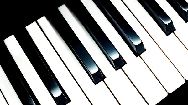 L'élégance des pianos schimmel : une expérience unique